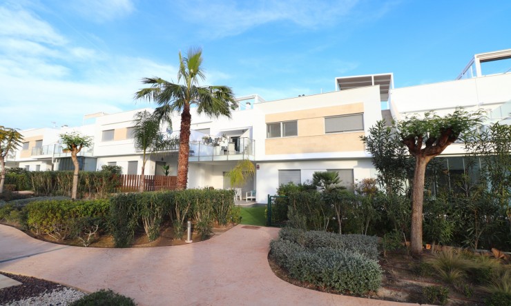 Apartment - Re-Sale - Los Montesinos - Entre Naranjos / Vistabella Golf